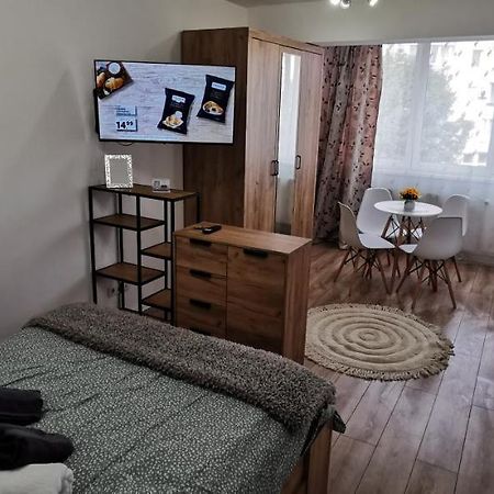 Târgu-Mureş Ana Studio 아파트 외부 사진